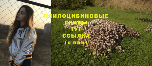 трава Струнино