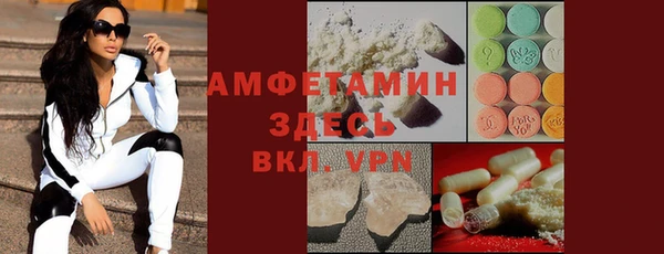 apvp Кизел