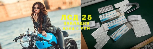 дживик Кемь